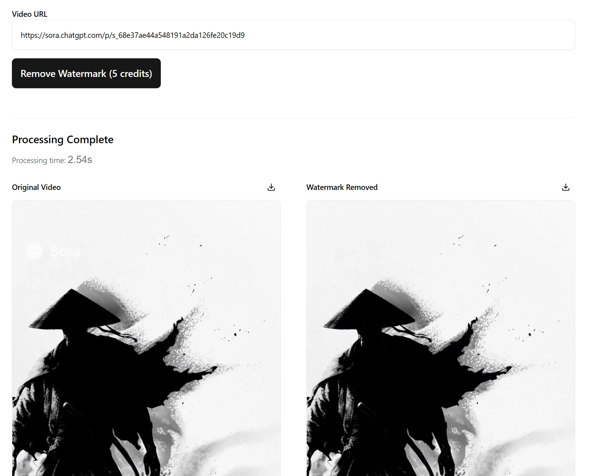 Download the watermark-free result